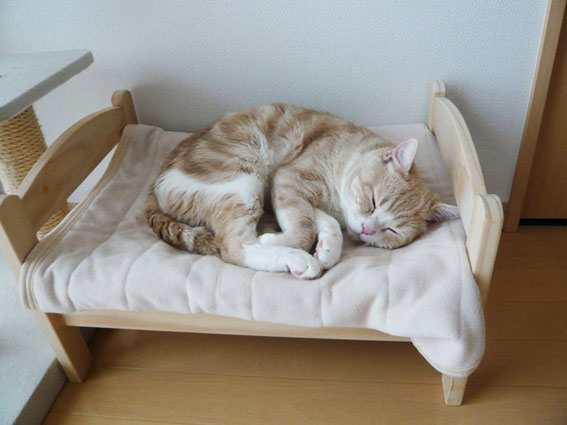 ikea_duktig_letto_gatto_11