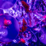 Art Aquarium_expo_mostra_09