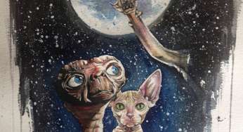 Sphynx che passione! L’artista Vanessa aka Psyca e la sua musa ispiratrice