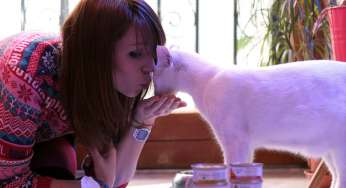 Schesir “Il buono di essere naturali al 100%”. Vi presento Priscilla e Leone