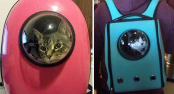 U-Pet, non potrete più farne a meno. (Per tacer del gatto…)