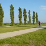 Parco_Vettabbia_02