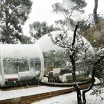 Holleyweb_tenda_bolla_06