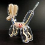 anatomical-balloons-dog-bear-jason-freeny-1