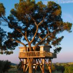 Black_Cabin_casa_sull_albero_La Piantata_02