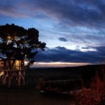 Black_Cabin_casa_sull_albero_La Piantata_03