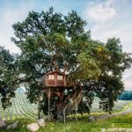 Suite_Bleue_casa_sull_albero_La Piantata_02