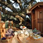 Suite_Bleue_casa_sull_albero_La Piantata_08
