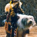 didymus_labyrinth