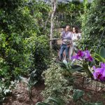 raffeiner_giardino_2