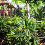 raffeiner_giardino_piante
