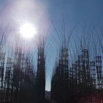 lodi-cattedrale-vegetale_cover