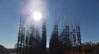 La Natura architetto: Nasce a Lodi la Cattedrale Vegetale di Giuliano Mauri