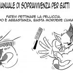 manuale_gatto_012