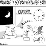manuale_gatto_028