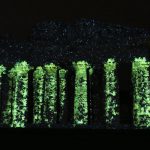 provenatura