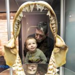 Da-Nova-Scotia-Museum-@NS_Museum