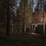 Treehotel_in_Harads_hotel_fortementein_02