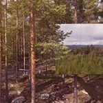Treehotel_in_Harads_hotel_fortementein_08