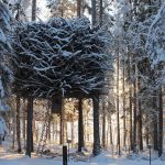 Treehotel_in_Harads_hotel_fortementein_10