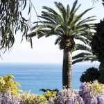 Villa Pergola