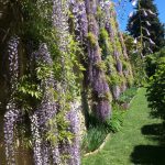 Villa della Pergola21_Archivio VilladellaPergol_ba