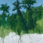 41
