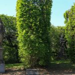 Villa Arconati-FAR giardino 2017_2