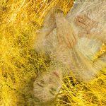 02-francesca-manetta-sol-stat-dett02-web