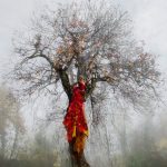 05-francesca-manetta-firebird-07-web