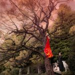 07-francesca-manetta-firebird-15-web