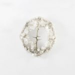 francesca-romana-pinzari-sacred-thorn-n1-2017-cristalli-di-allume-di-rocca-e-spine-ph-andrea-veneri