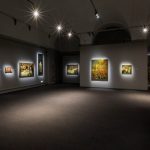 g-vitali_palazzoreale-5