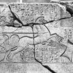 amenofi_ii_arciere_unimi_rgb150