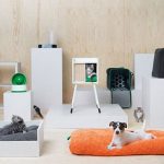cani-e-gatti-sugli-accessori-lurvig-di-ikea-
