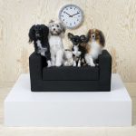 il-letto-divano-per-animali-maxw-1280