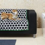 un-copridivano-per-animali-maxw-1280
