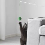 un-gatto-che-gioca-maxh-720