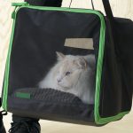 un-trasportino-per-gatti-maxw-1280