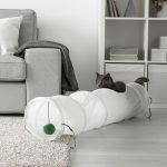 un-tunnel-per-gatti-maxh-720