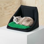 una-cuccia-per-gatti-maxw-1280