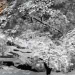 yukinoookurad2intermontane-river-in-snow