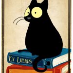 gatto-libri