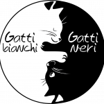gatto-yin-yang-png-1024×999