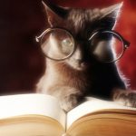 cat-reading-book-1024×576
