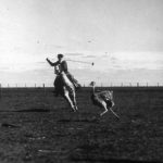 Folco Quilici_Caccia allo struzzo. Un gaucho sta per lanciare le boleadazas sulle zampe dell’animale inseguito.