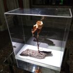 Alik Cavaliere. L’universo verde