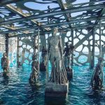 Coralarium-Collater.al-9c-1024×1024