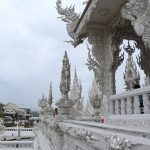 IMG_0617