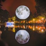 moon-2-RobertSils-960×600@2x